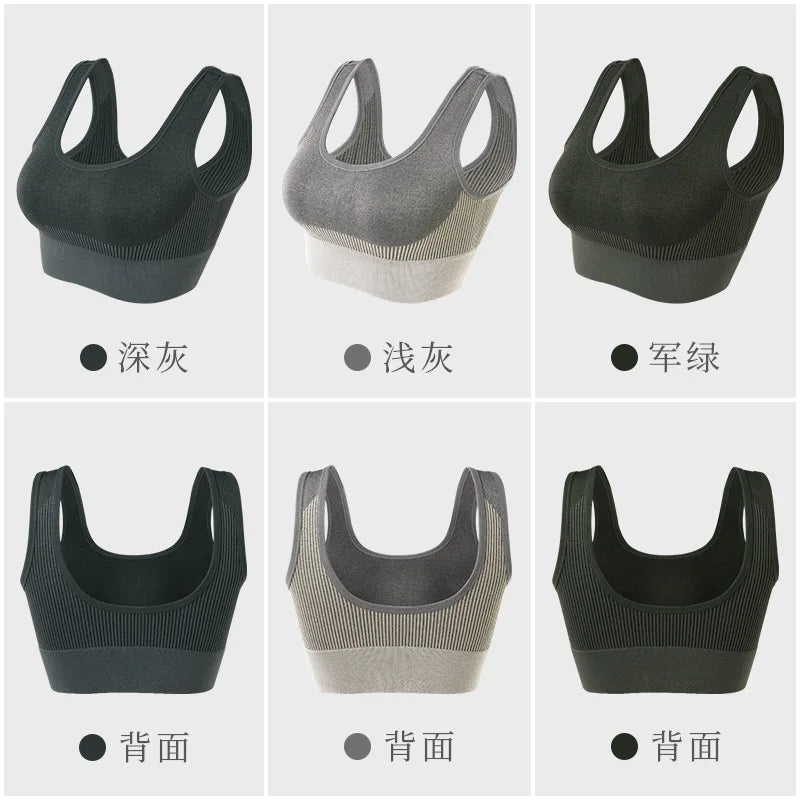 Women’s Knitted Sports Bra – Padded & Push-Up.